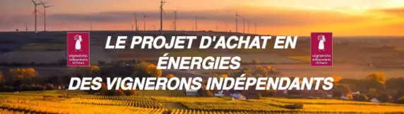 VIF Projet energie achat contrat groupe.png