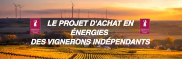 VIF Projet energie achat contrat groupe.png
